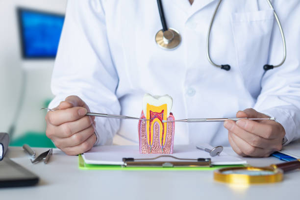 Best Emergency Dental Services for Seniors in Emerd Mountain, AL
